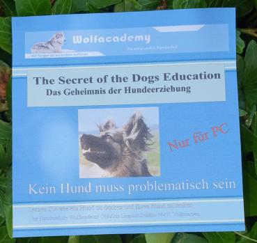 The Secret of the Dog Eduacation